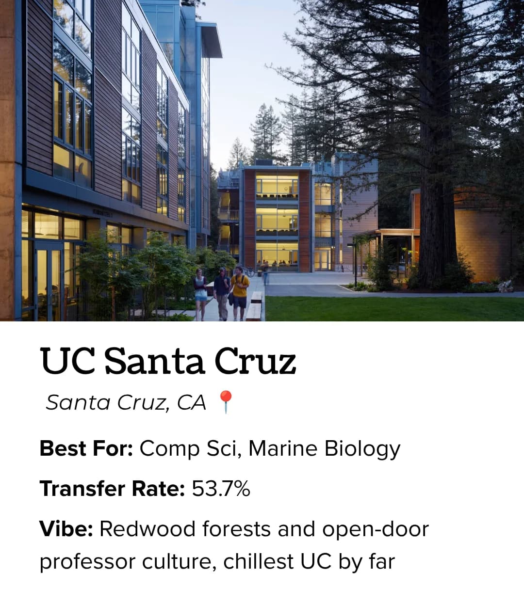 UC Santa Cruz: best for computer science and marine biology, redwood forests and open-door professor culture