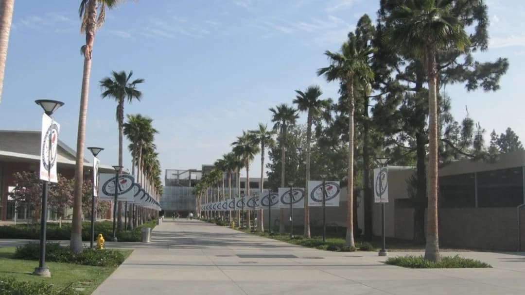 Palm-lined main walkway through the Cal State Fullerton campus on a sunny day